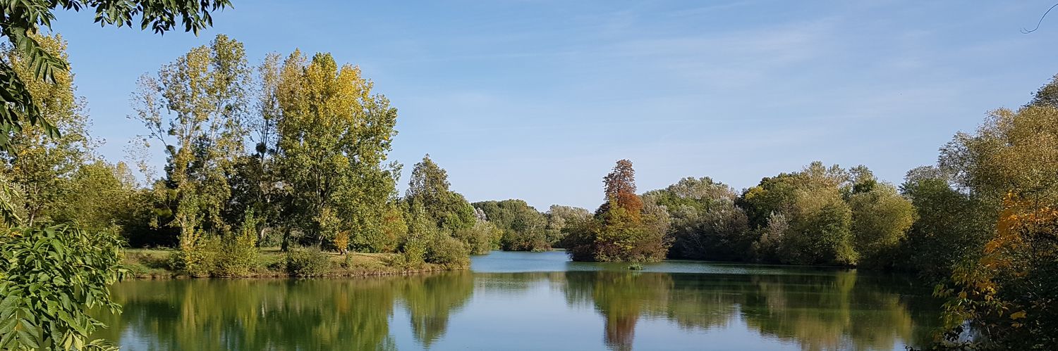 Michel Tran Duc banner