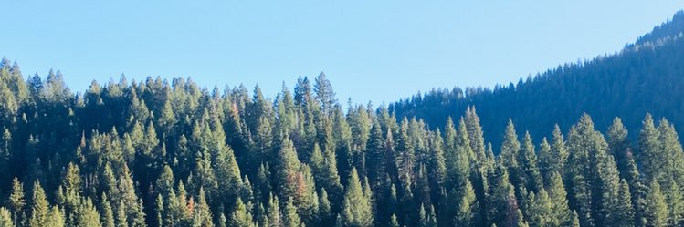 tpope⛰🛸 banner