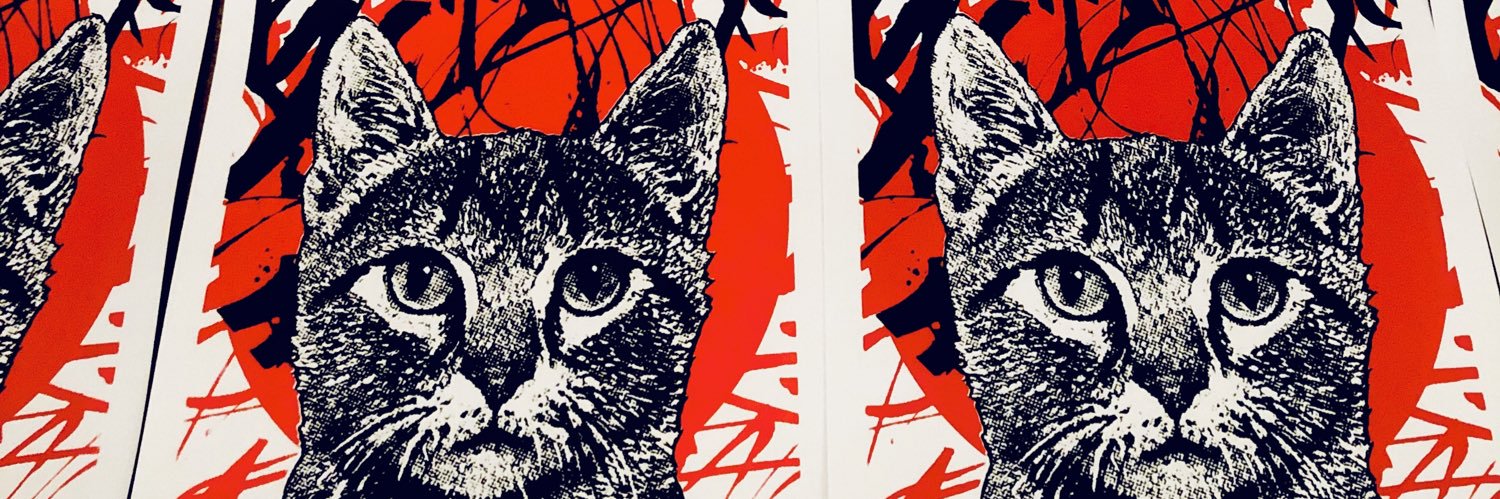 dabootweets's profile banner image