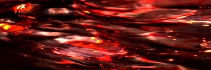 eqq_tart's profile banner image