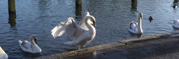 EmelieAllenRoss Profile Banner