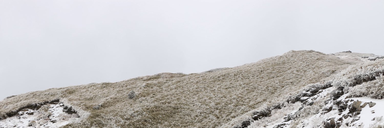 bea_nnn's profile banner image