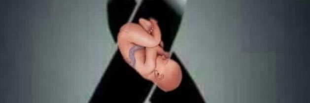 centuriones2004@hotmail.com banner