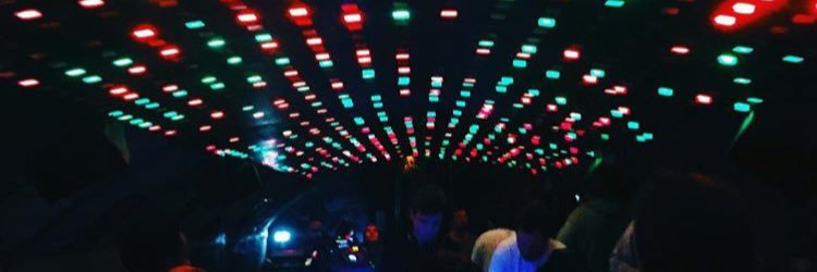 B e r t i l l e banner