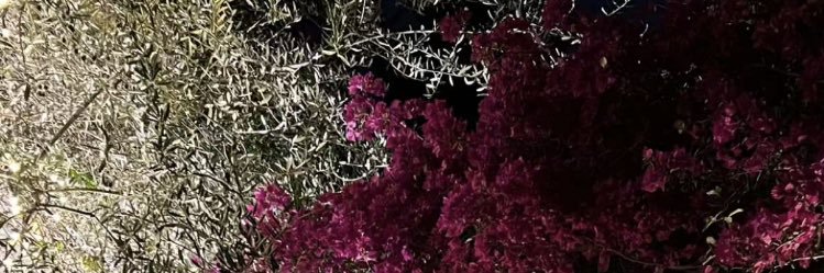 al_n444's profile banner image