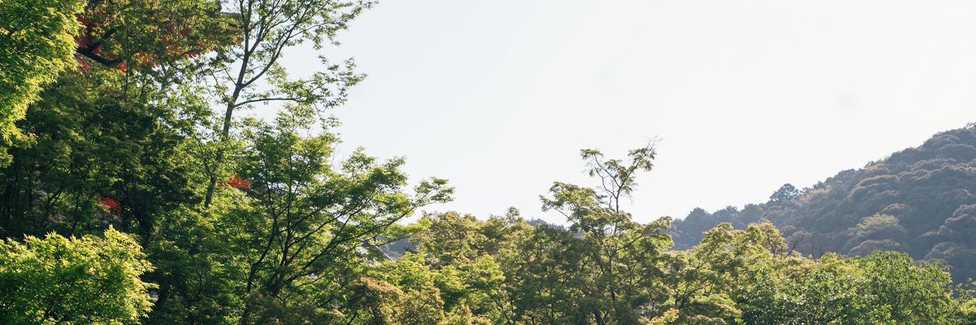 natarrones's profile banner image