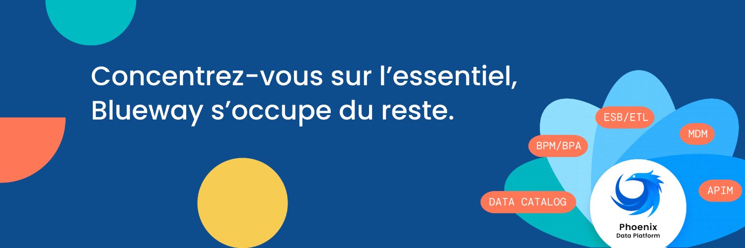 Blueway Software banner