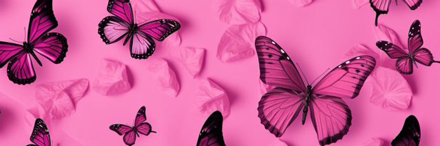 cintaboudaes's profile banner image