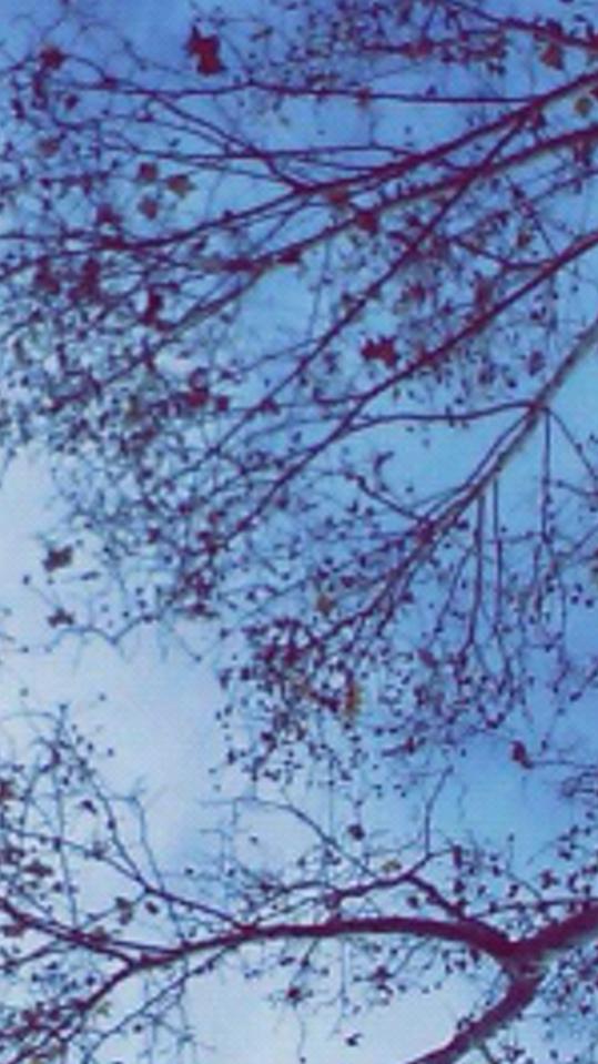wafa364's profile banner image