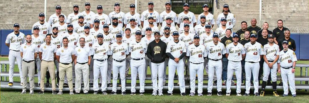 CAMPEON DEL MUNDO ⚾🌎🇻🇪 banner
