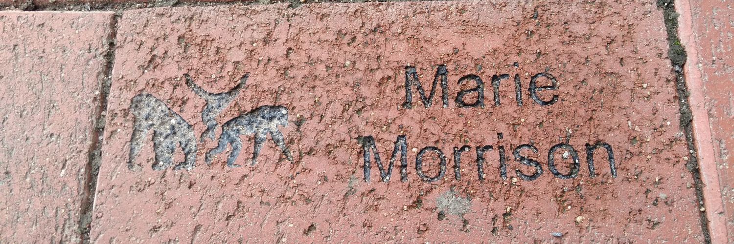 MarieMorrison99's profile banner image
