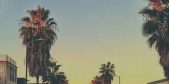 Relezpfam's profile banner image