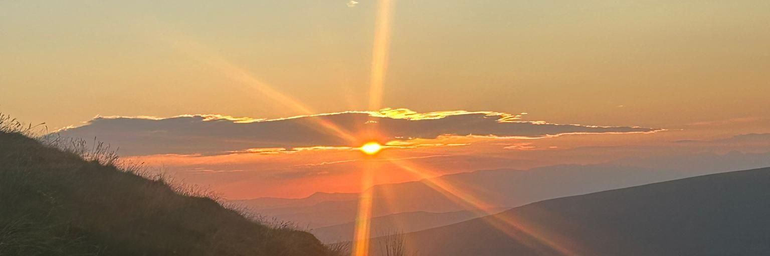 Sean O'Sullivan banner