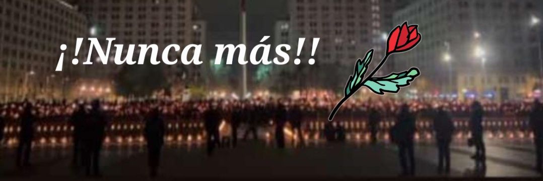 Li_AusVe's profile banner image