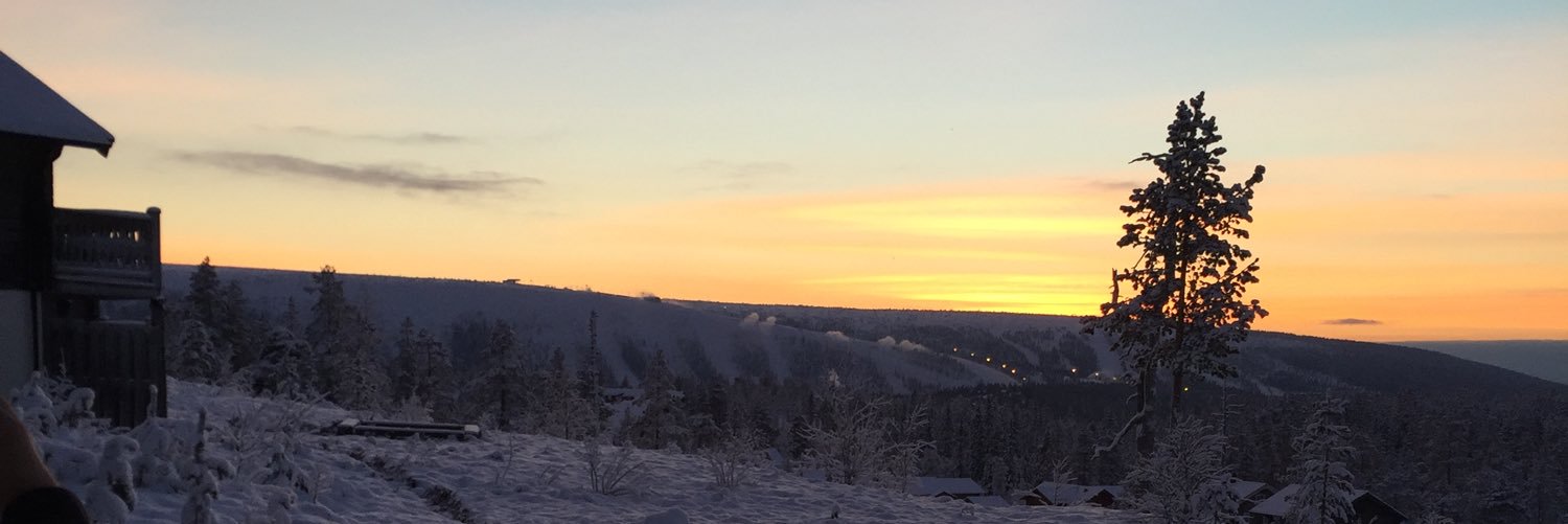 OFlybring's profile banner image