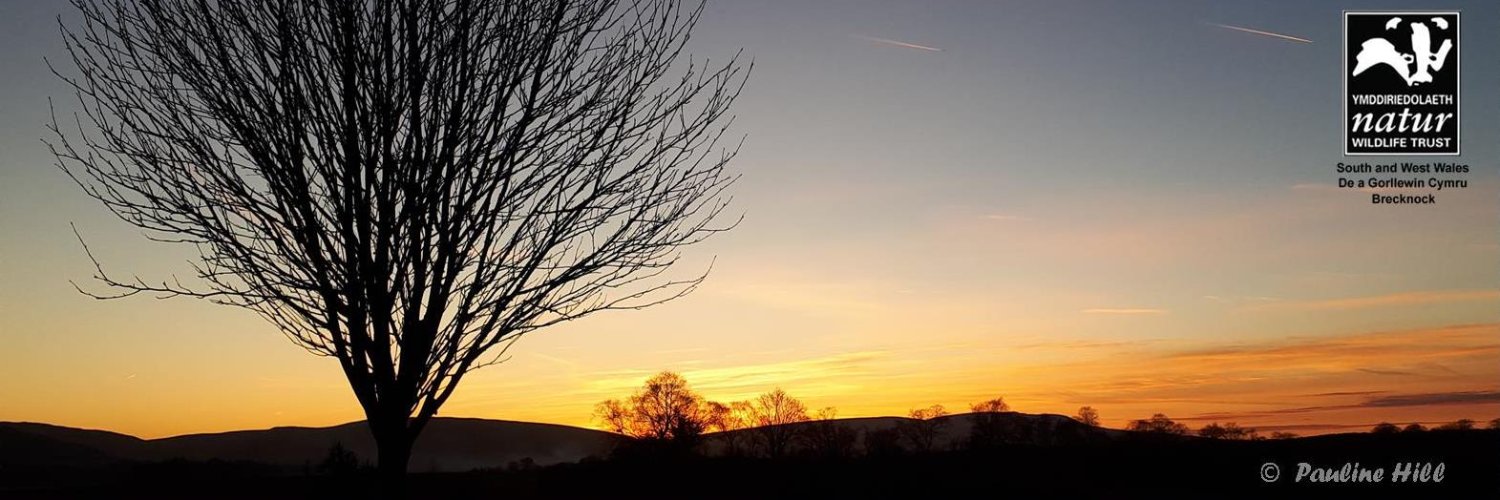 Brecknock Local News banner