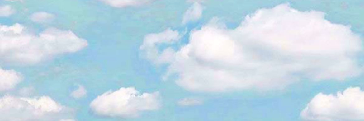 muvaskye's profile banner image