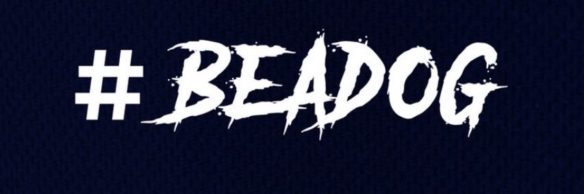 Matt Lynn banner
