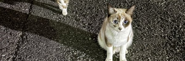 GUDON666 Profile Banner