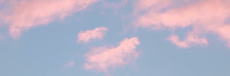 CFOSoniaAlicant's profile banner image