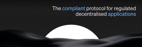 DuskFoundation Profile Banner