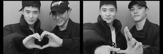 ✧ ta 𓂃 #WYLD ࣪⊹˖ banner