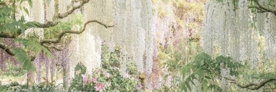 neomie_vll's profile banner image