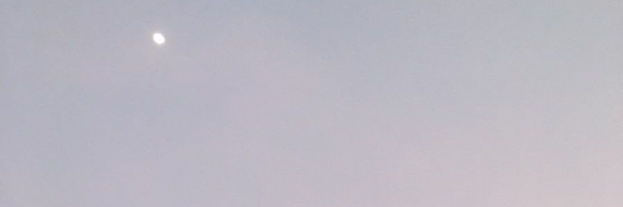 Rhea banner