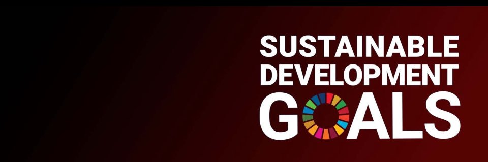 Patrick Ngowi banner