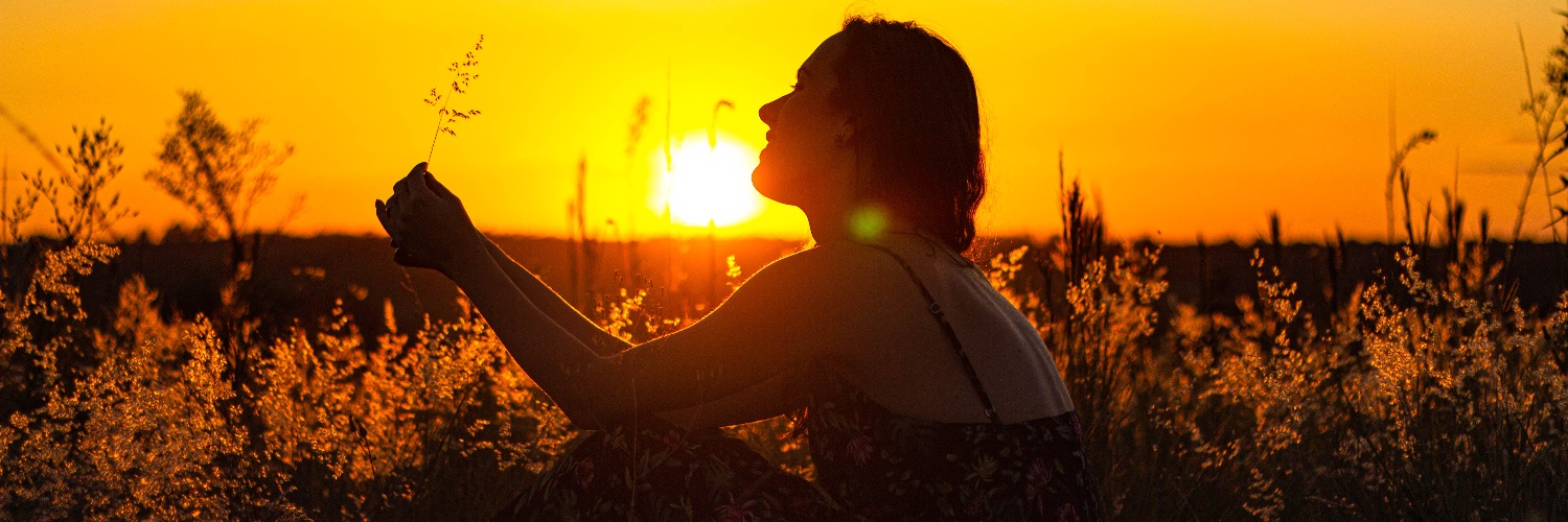 marinabeenedett's profile banner image