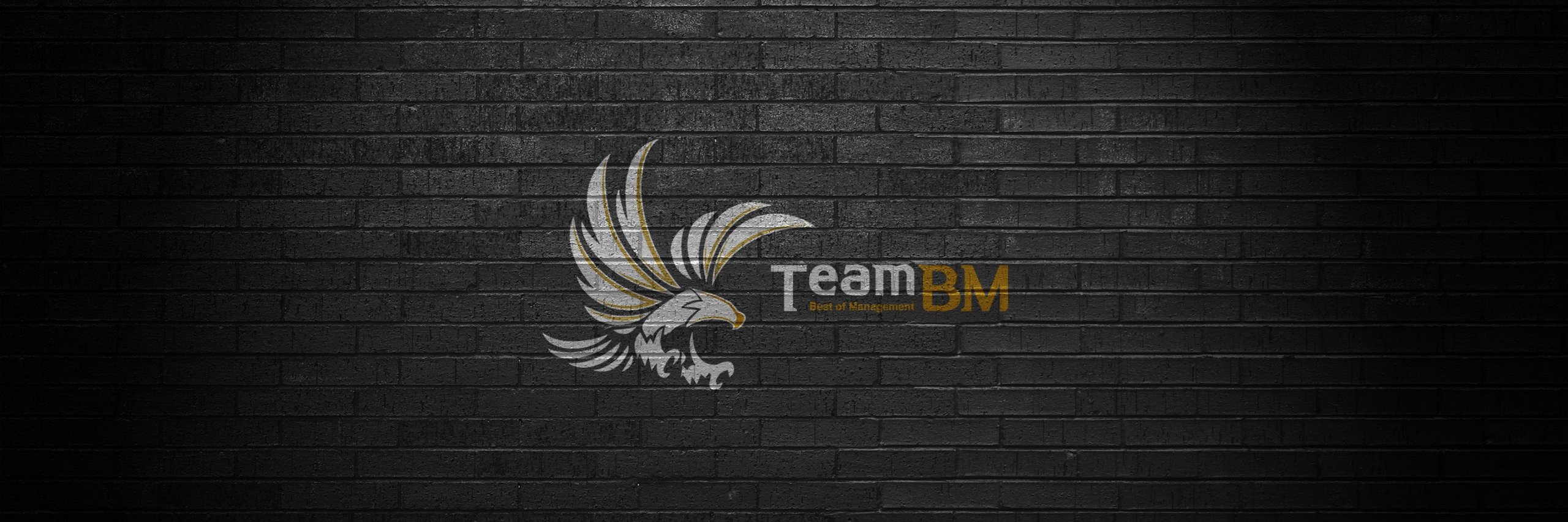 TeamBM banner
