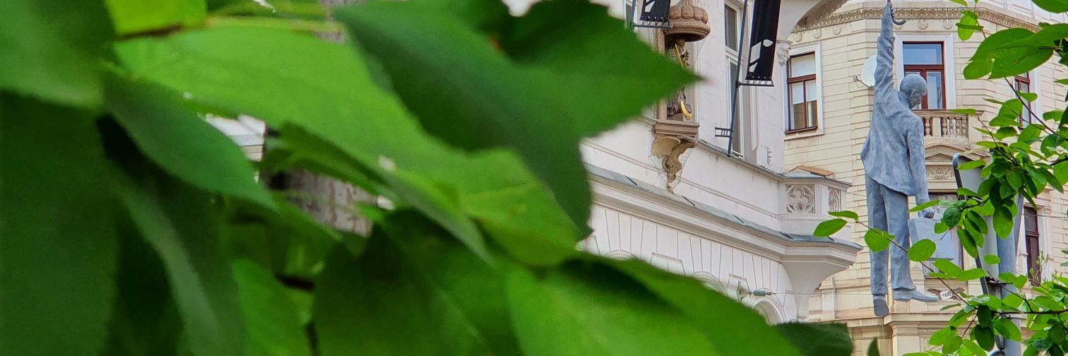 Anastasis_aaa's profile banner image