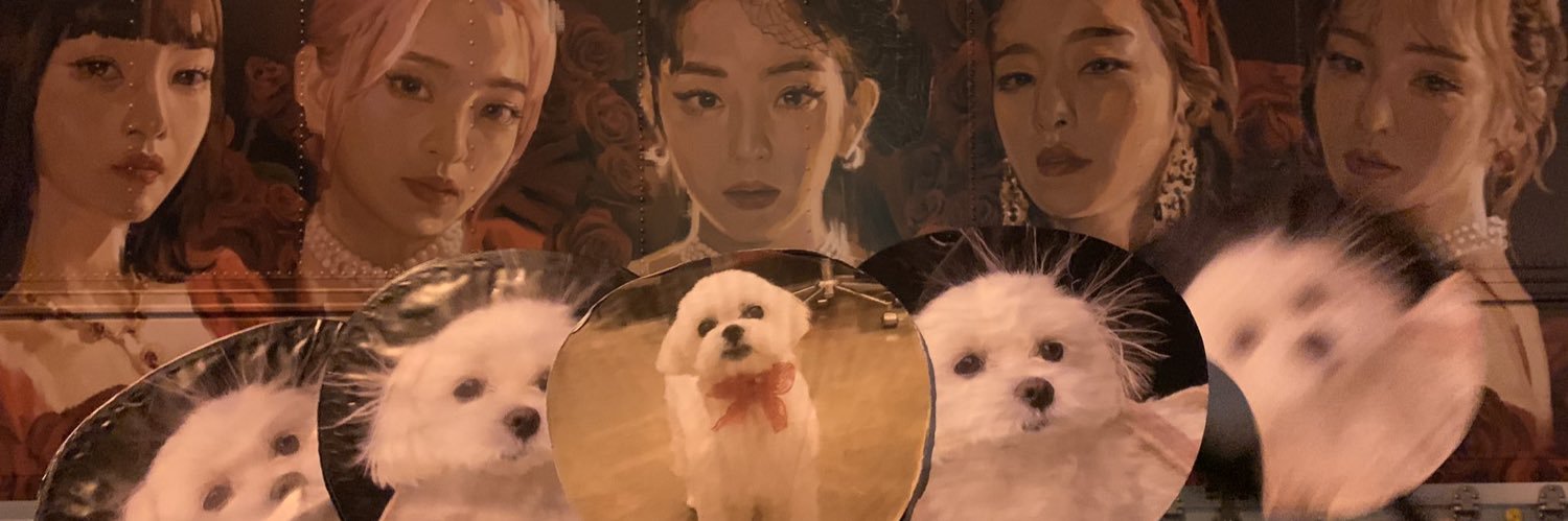 あおい🐣 banner