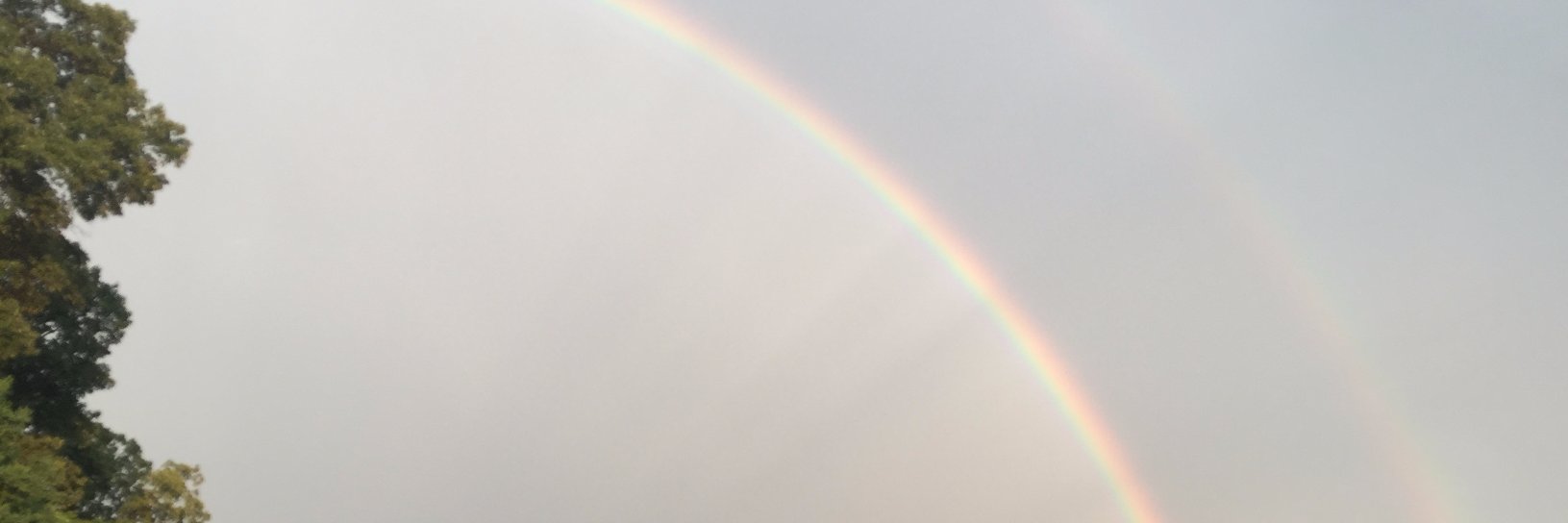 PGDell's profile banner image
