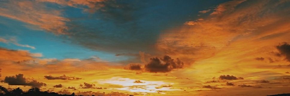 NiahAreiny's profile banner image