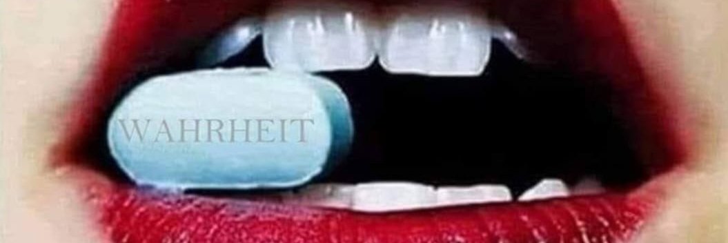 Iris N. Masson banner