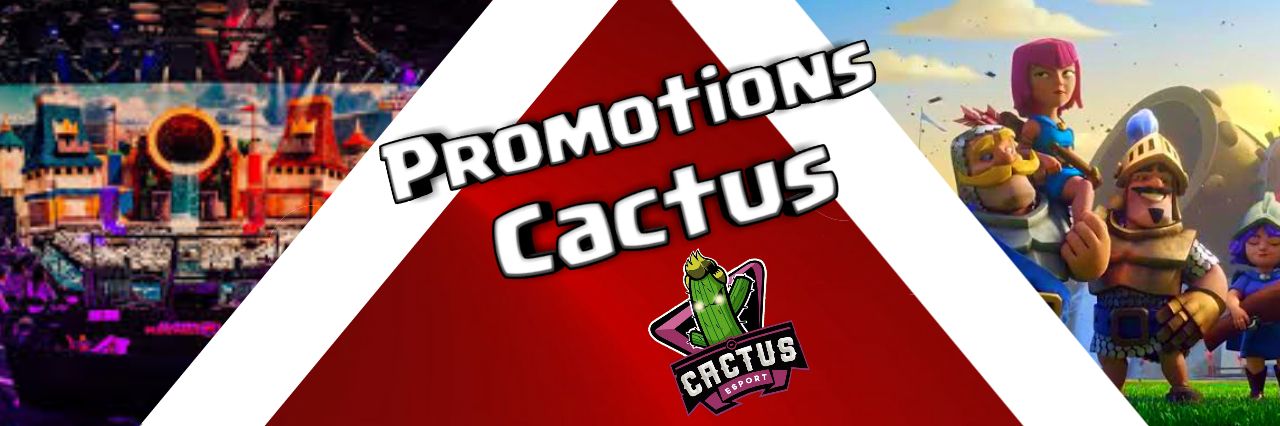 Promotions Cactus banner
