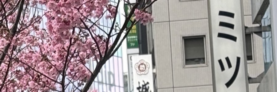 あなるん banner