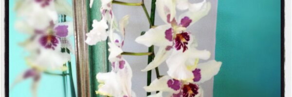 True_Colours Profile Banner