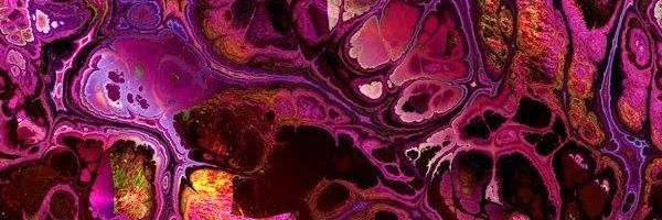 _Maria_Gp_'s profile banner image