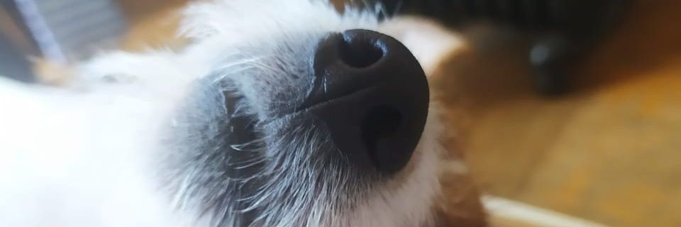 1ordthunder's profile banner image