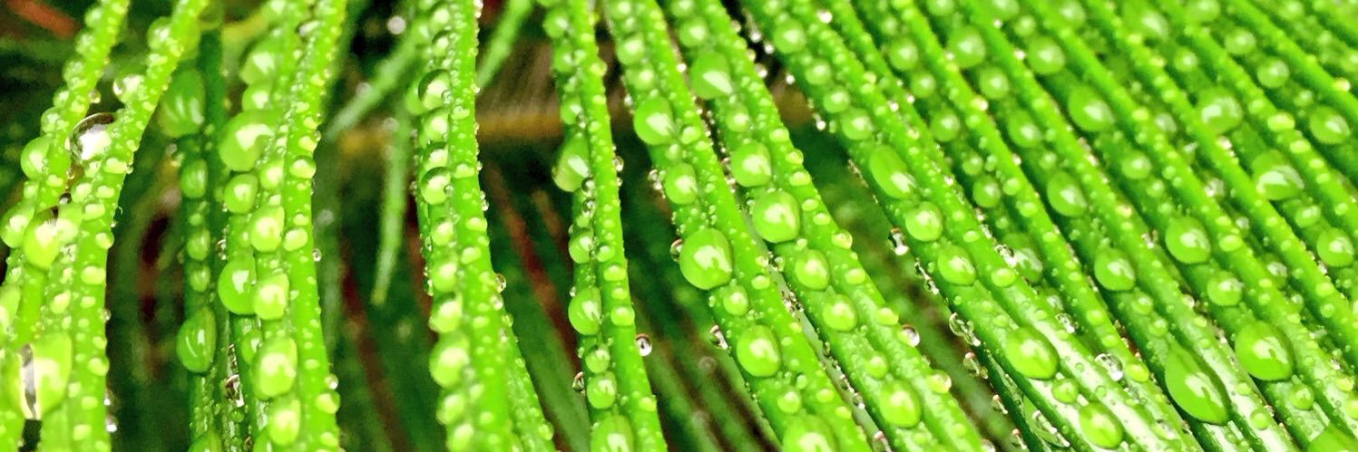 John Van Stan banner