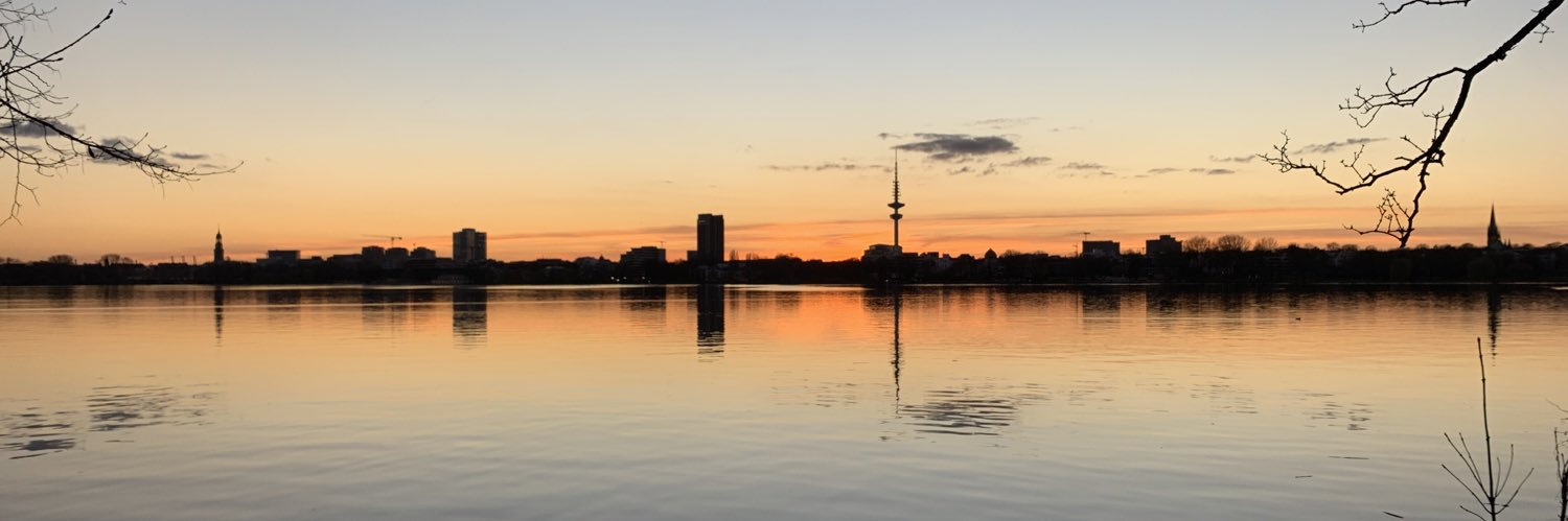 davidgoelnitz's profile banner image