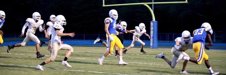 William Luzzi banner