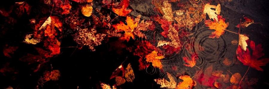 Дмитрий banner