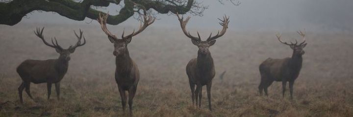 Liza Zana ☀️ banner