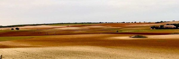 stephanmantel Profile Banner