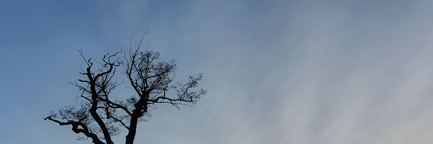 williamclemente's profile banner image