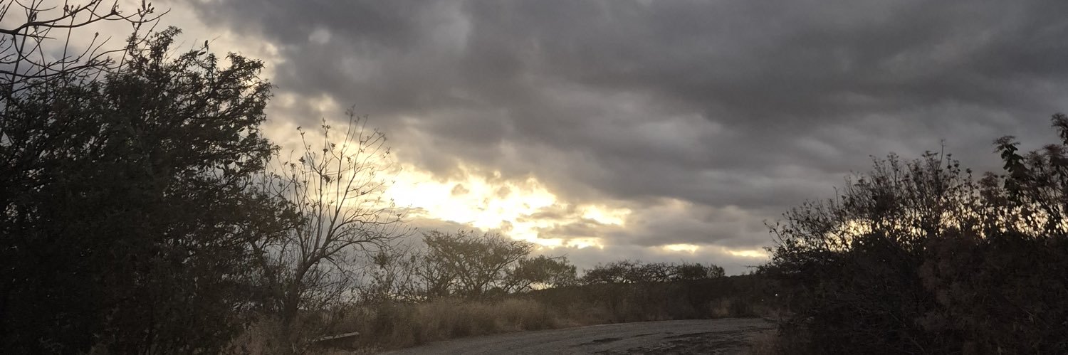 Joel Rodríguez banner