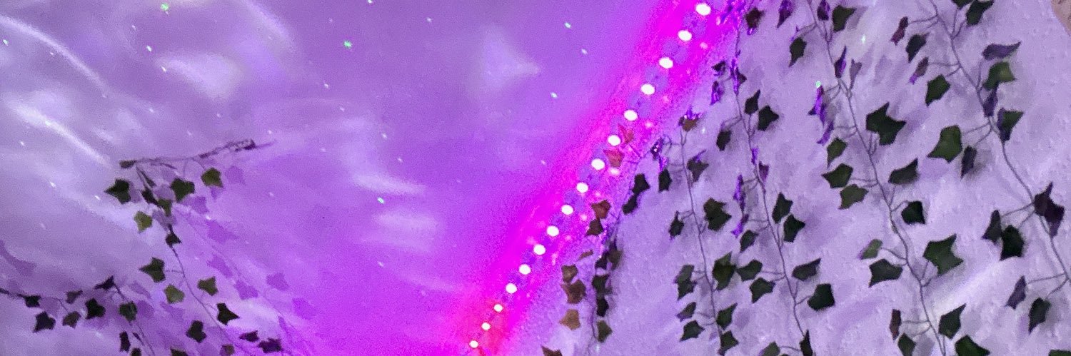 dariaaa511's profile banner image